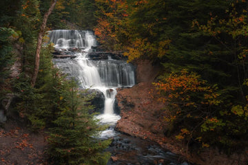 Chasing Fall Foliage