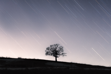 How to Shoot Star Trails
