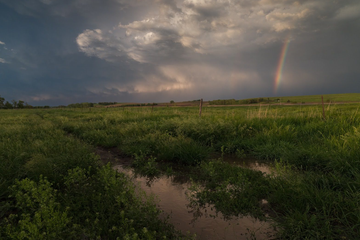 Shooting in All Types of Weather: A Photographer’s Guide to Embracing the Elements