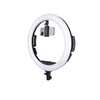 Specialist R19RGB 19" LED Ringlight