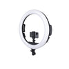 Specialist R19RGB 19" LED Ringlight