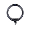 Specialist R19RGB 19" LED Ringlight