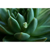 77mm +5D Achromatic Close-Up Lens