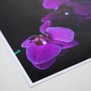 Matte 65 Paper 5"x7" - 50 Sheets