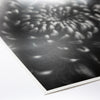 Fine Art Baryta Natural Satin Paper 11"x17"-20 Sheets