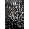 Fine Art Baryta Natural Satin Paper 11"x17"-20 Sheets