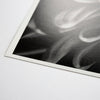 Fine Art Baryta Natural Satin Paper 13"x19"-20 Sheets